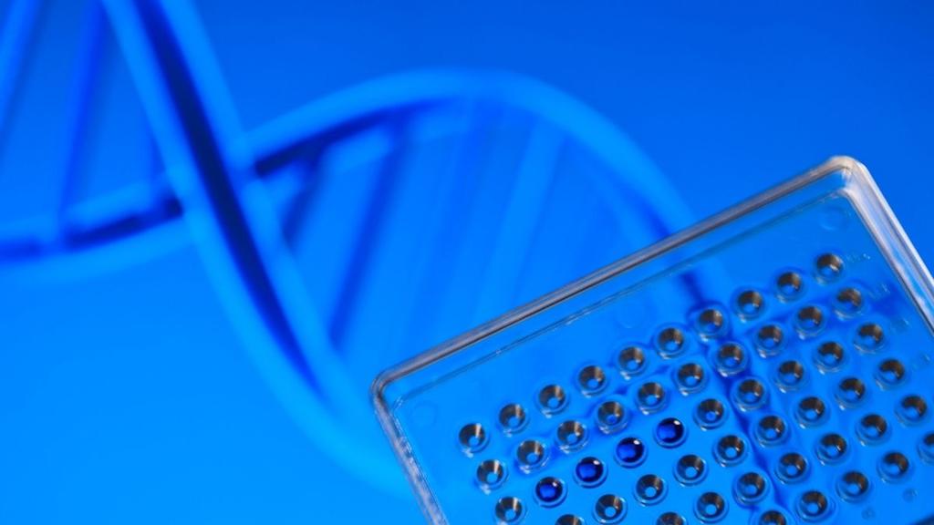 Are You Able To Do A Dna Test While Pregnant