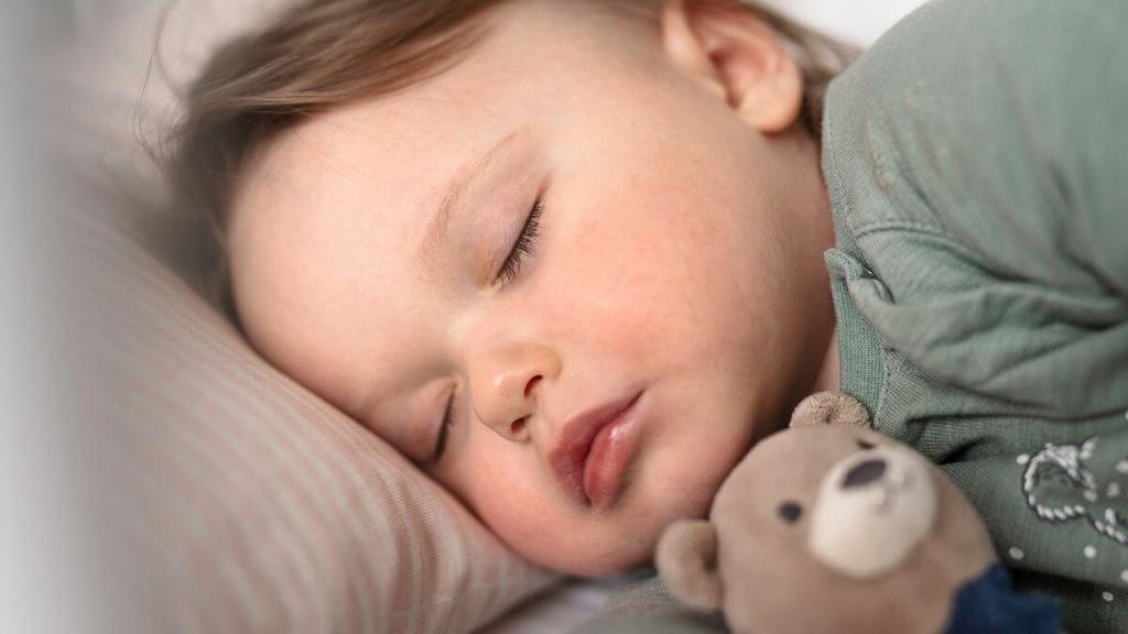 Your Guide to the 12MonthOld Sleep Schedule Naps & Wake Windows Peanut