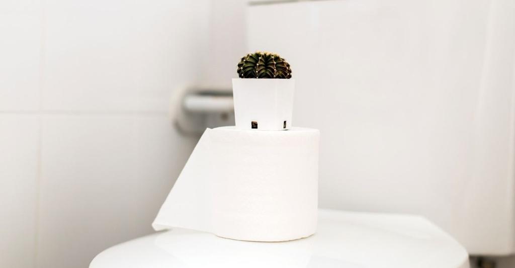 Menopause and Constipation What's the Link? Peanut