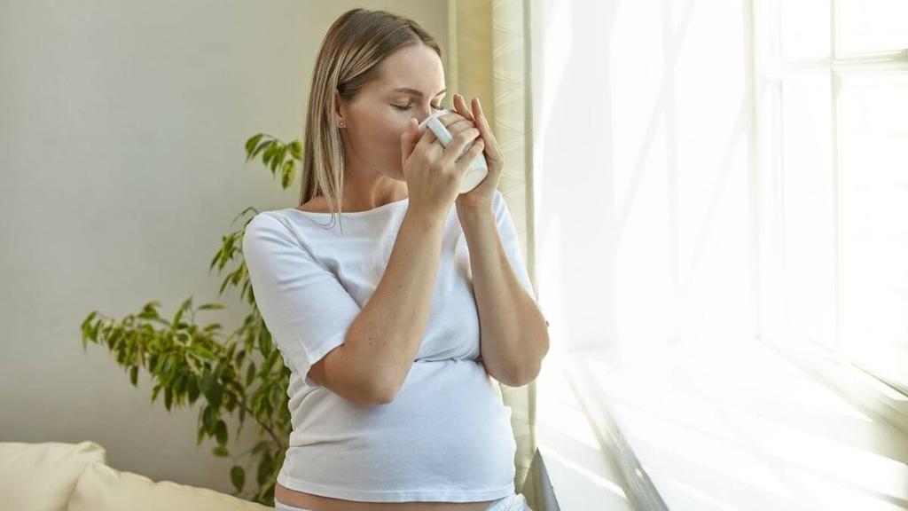Can You Drink Decaf Coffee While Pregnant Peanut Can You Drink Decaf Coffee While Pregnant Peanut