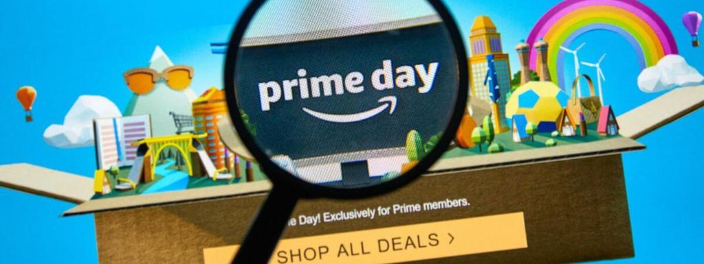 Prime Day Deals & What I Bought - Pinecones and Acorns