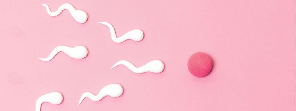 Can You Get Pregnant from Swallowing Semen? | Peanut
