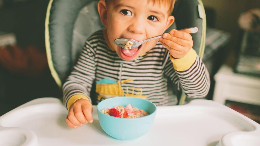 20 Healthy & Easy Toddler Meal Ideas | Peanut