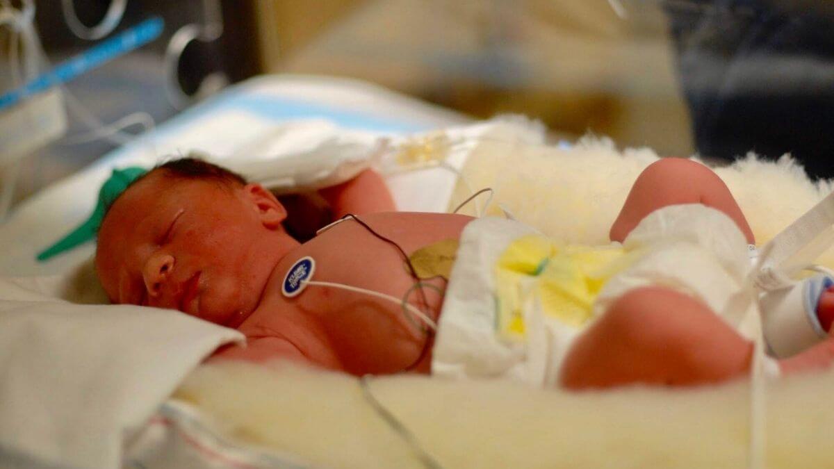 What Is NICU? (Neonatal Intensive Care Unit) | Peanut