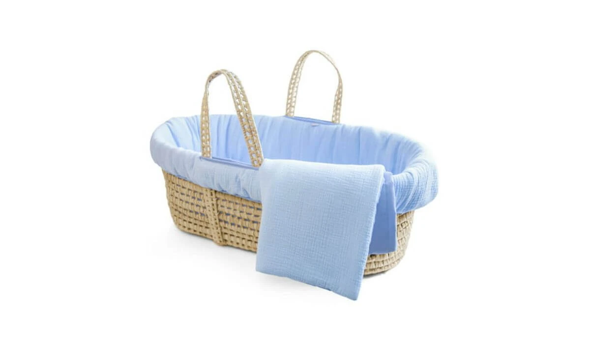 Tadpoles Moses Basket