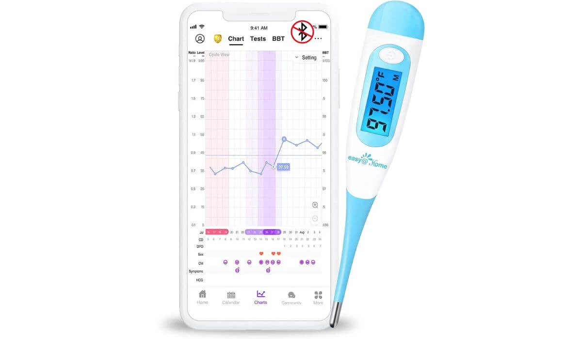 What is a Basal Thermometer?