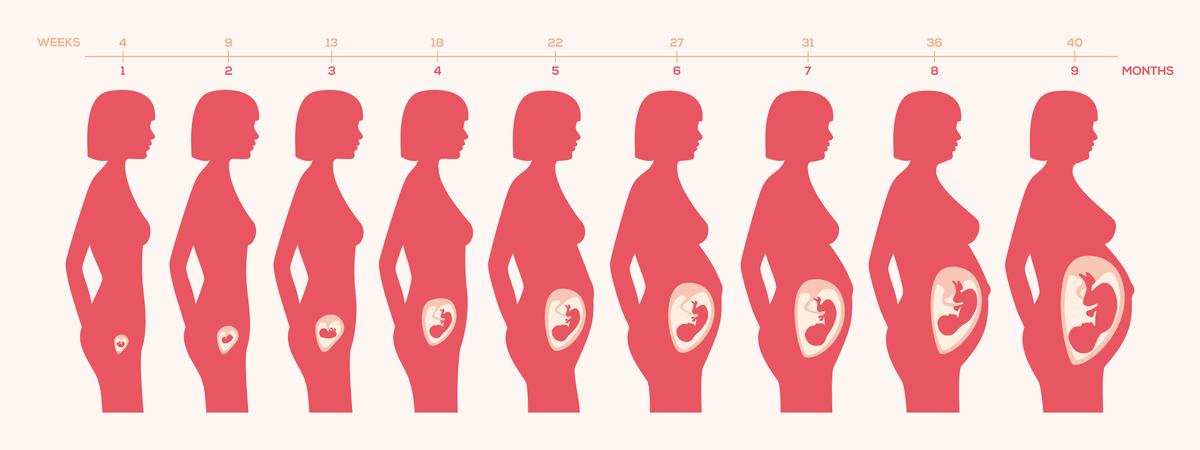 9 Women Explain What Their Pregnancy Boobs Actually Feel Like