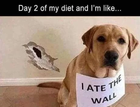 Weight gain? 🩷