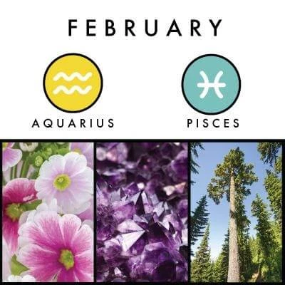 February birth symbols