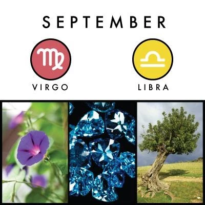September birth symbols