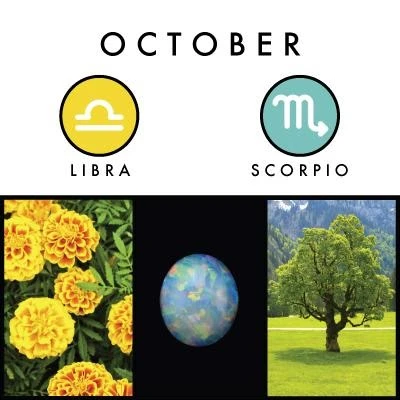 October birth symbols