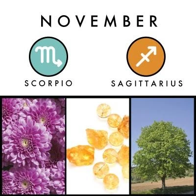 November birth symbols