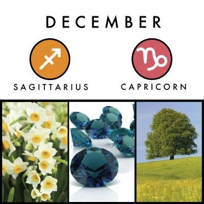 December birth symbols