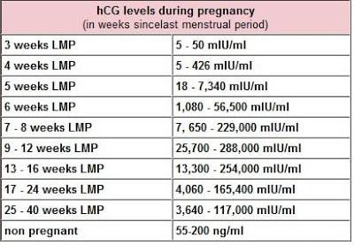 hCG levels chart