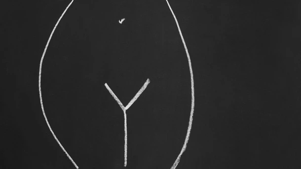 Vagina After Birth