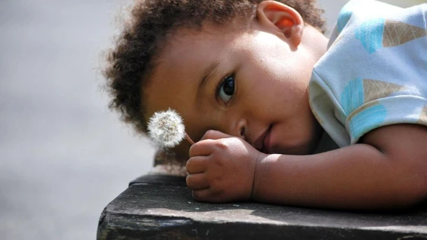 Nombres de Flores Para Niños