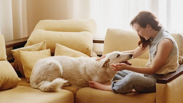 Can Dogs Sense Pregnancy