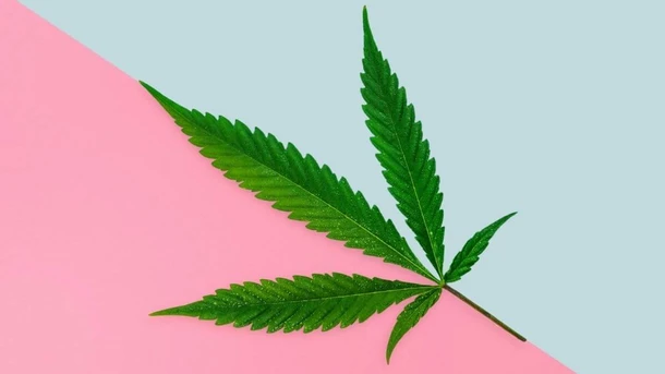 Marijuana and Pregnancy