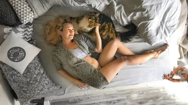 Can Cats Sense Pregnancy