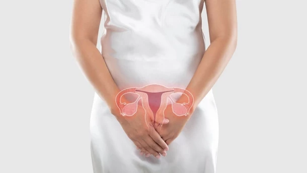 Cervix Position Before Period vs Pregnant