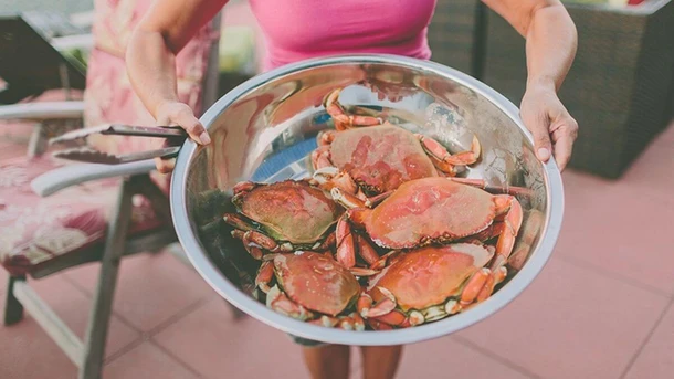 Can Pregnant Women Eat Crab