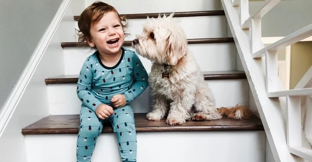 Dog and Baby: Safety Tips and Good Advice