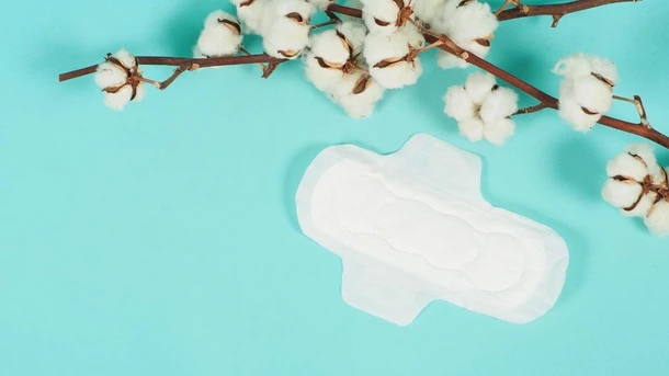 What are the Best Postpartum Pads?