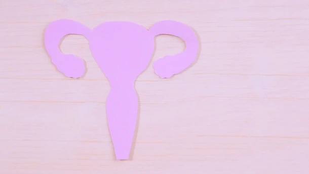 Is PCOS an Autoimmune Disease?