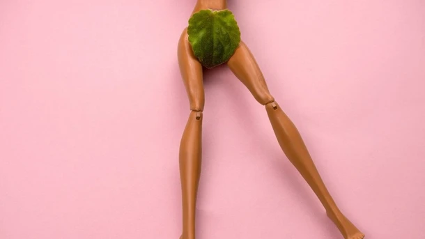 Vagina Diagram