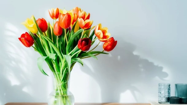 “Miss You” Mother’s Day in Heaven Quotes