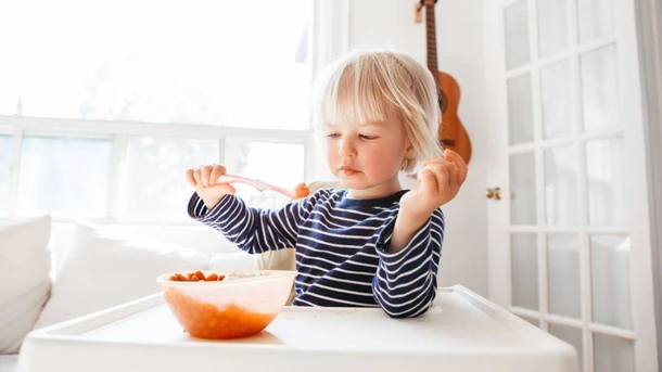 Toddler Lunch Ideas