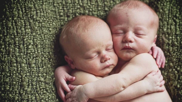 Twins in the Womb: Week by Week