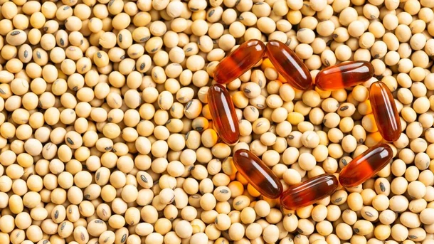 Sunflower Lecithin and Breastfeeding