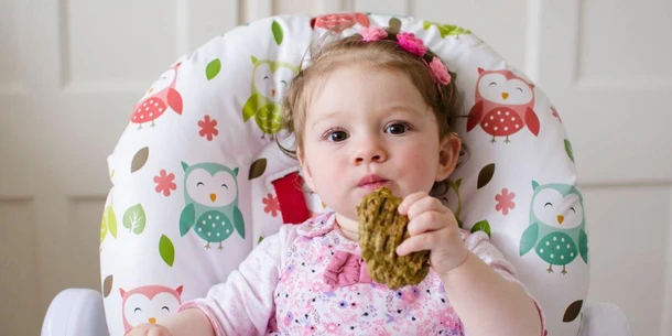 Baby-Led Weaning Recipes
