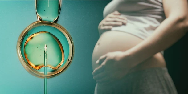 IVF Process Timeline