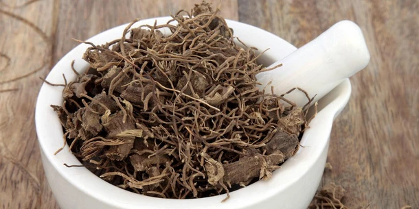 Black Cohosh for Menopause