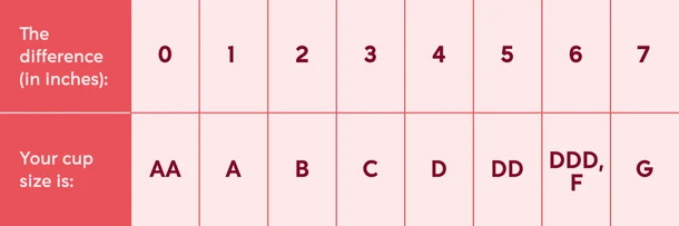 How to Measure Your Bra Size