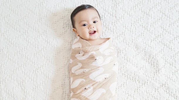 Swaddled baby