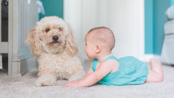 5-month-old baby