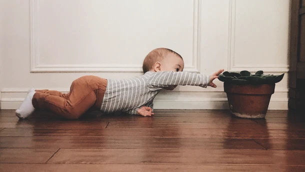 8-month-old baby