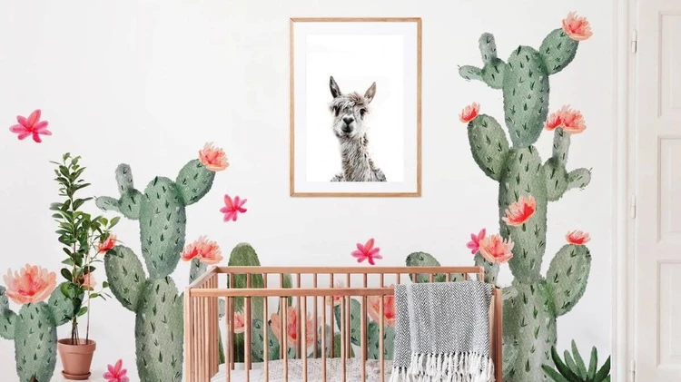 Cactus fun Baby Girl Nursery Themes