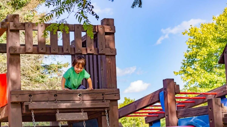 Outdoor toys for toddlers jungle gym