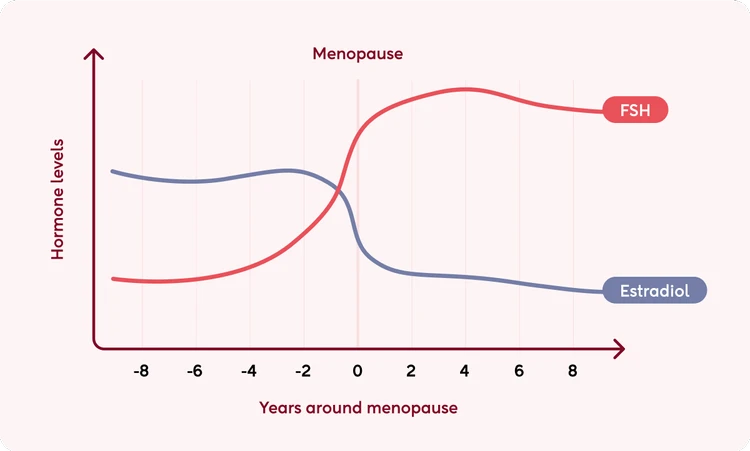 Menopause Hormone Levels Chart: Understanding The Changes