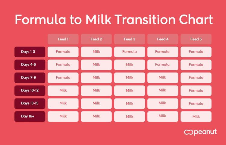 When Can Babies Drink Cow's Milk? - Transitioning from Formula or