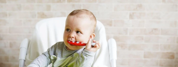 What are the Best Teething Foods?