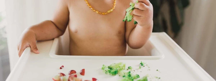 What is Baby-Led Weaning? Baby’s First BLW Foods