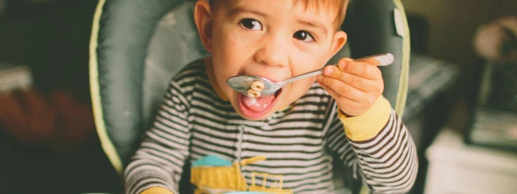 20 Healthy & Easy Toddler Meal Ideas