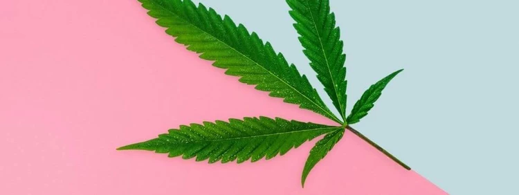 What to Know About Marijuana and Pregnancy