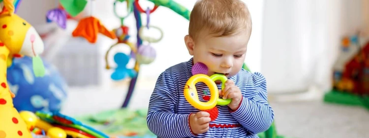 6 Toys for a 6-Month-Old