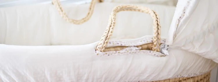 Difference Between Bassinet and Moses Basket  Compare the Difference  Between Similar Terms